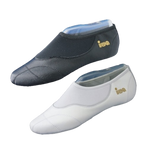 IWA 270 Voltigierschuhe Leder