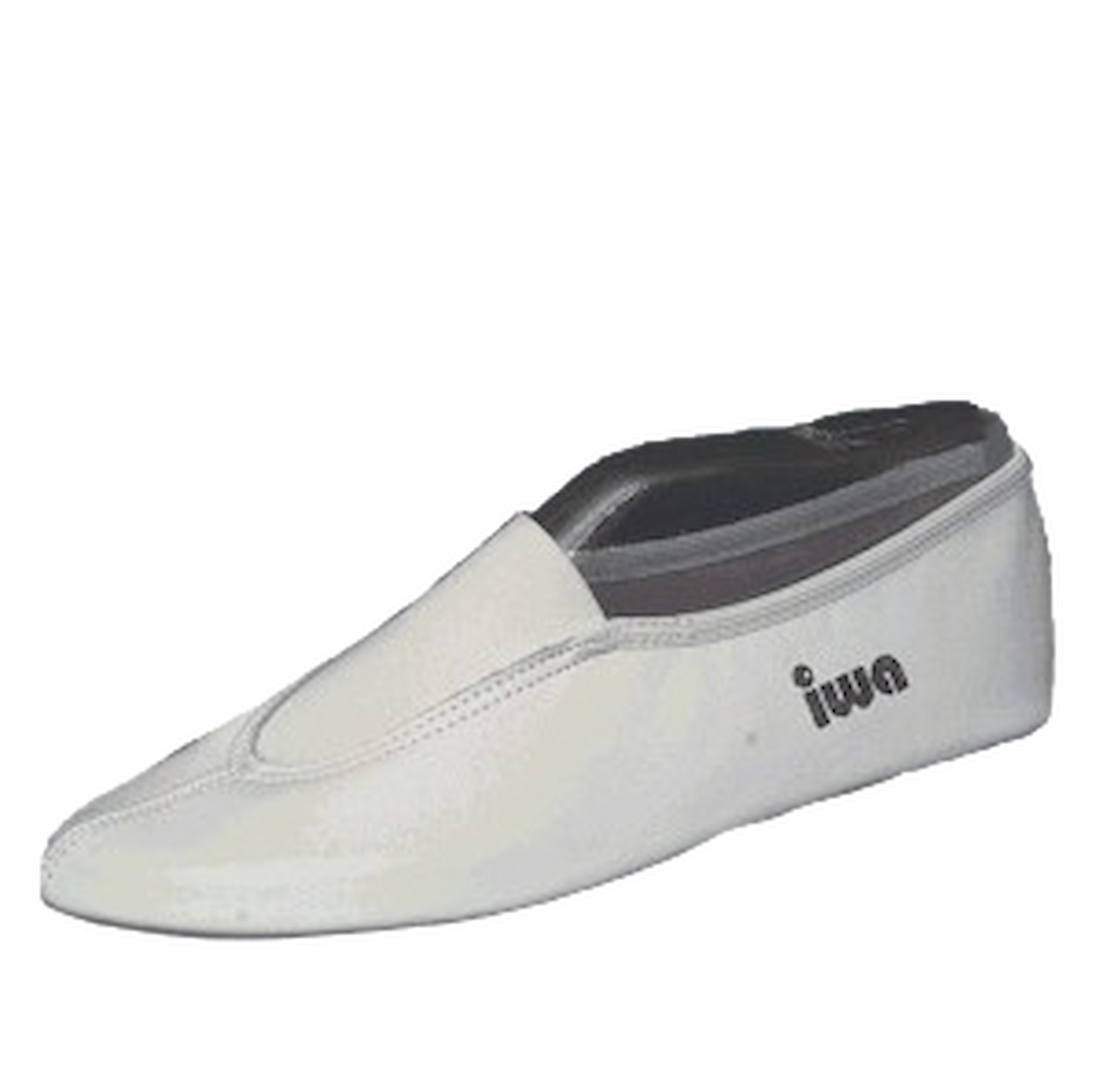 IWA 210 Voltigierschuhe